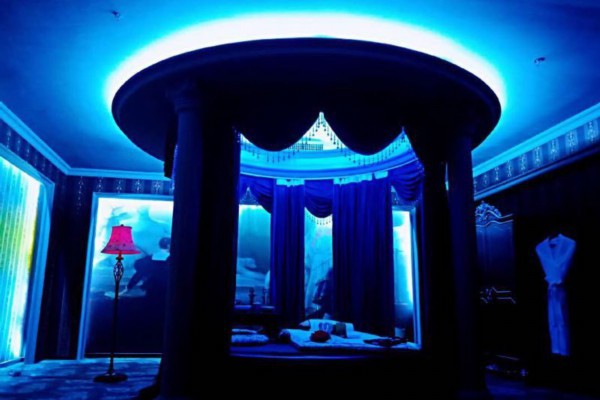 武汉顶级茶叶鉴赏会，尽享茶香四溢(武汉 茶叶)